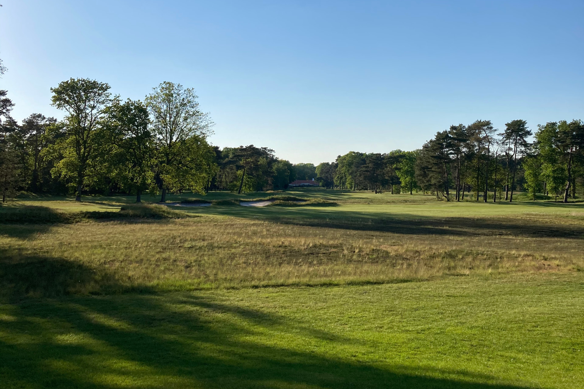 Fairway en bunkers van Royal Antwerp Golf Club in Kapellen bij ochtendlicht